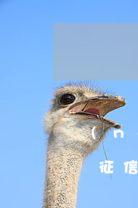 農(nóng)村信用社貸款利息逾期會影響征信嗎？逾期多久會受影響？逾期利息如何計算？